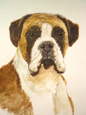 Pet portraits in watercolor by Augusto Argandona