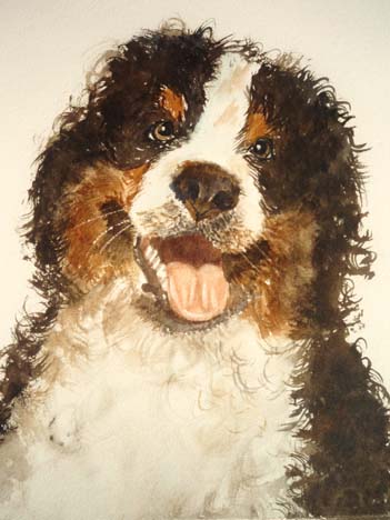 Pet portraits in watercolor by Augusto Argandona