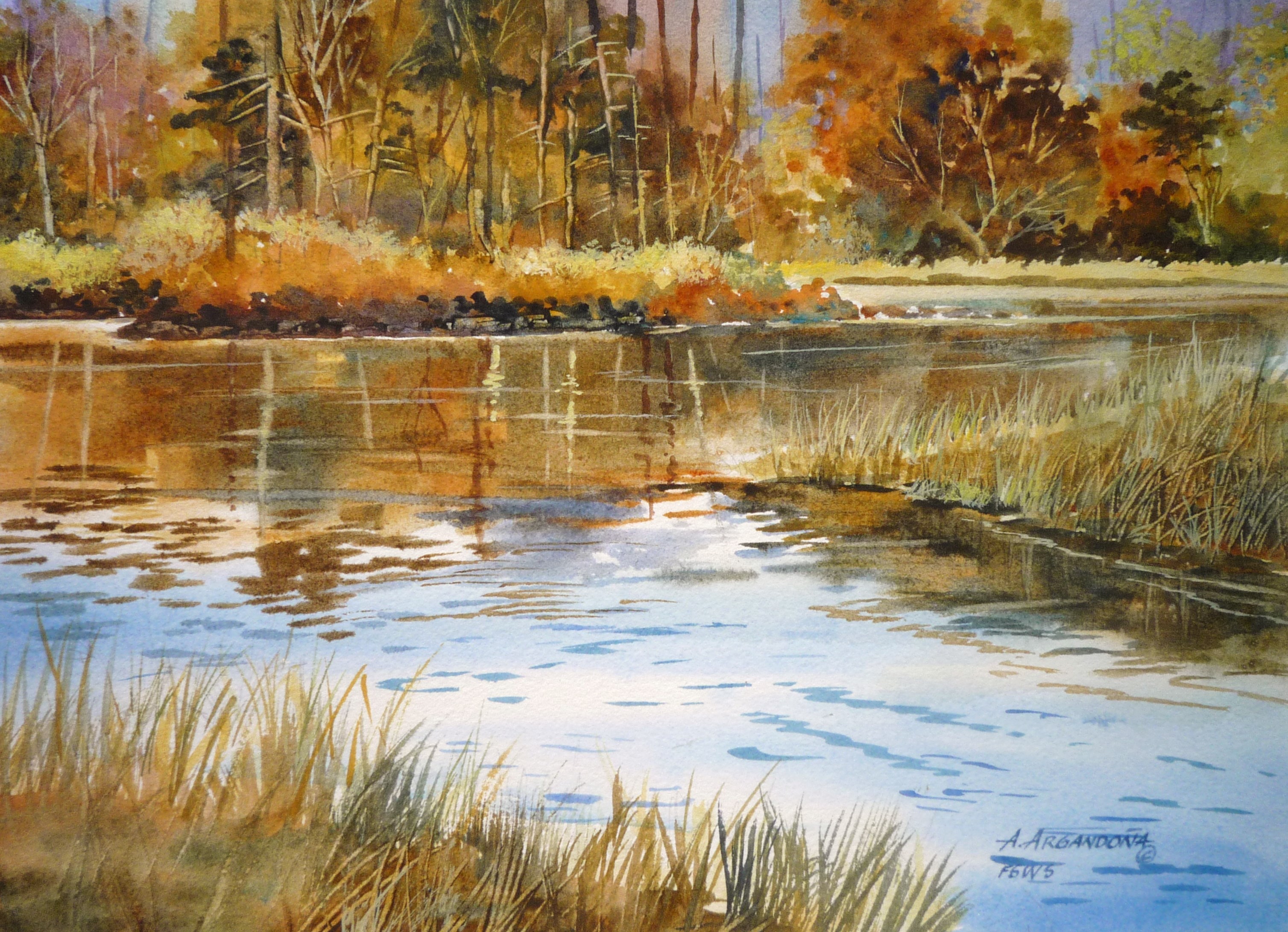 November Pond Original Watercolors by Augusto Argandona