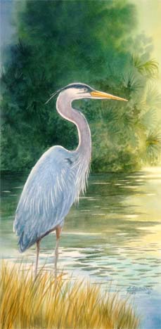 Blue Heron Original Watercolors by Augusto Argandona