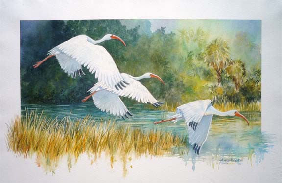 Three Ibises Original Watercolors by Augusto Argandona