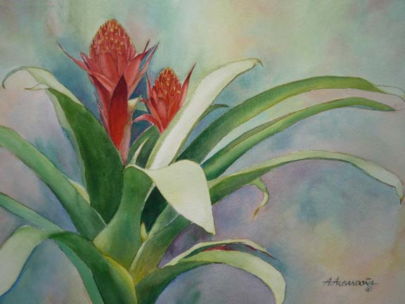 Botanical Giclee Prints by Augusto Argandona