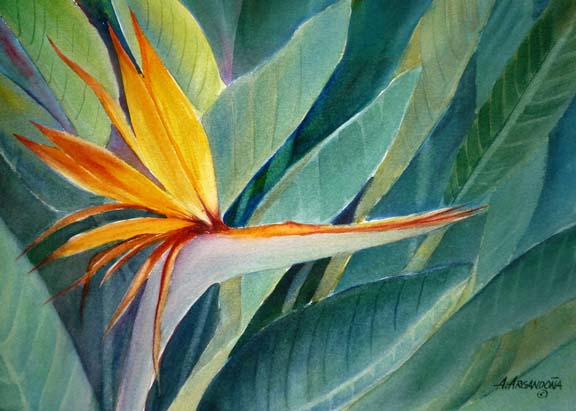 Botanical Giclee Prints by Augusto Argandona