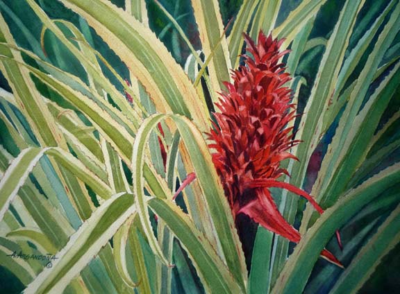 Botanical Giclee Prints by Augusto Argandona