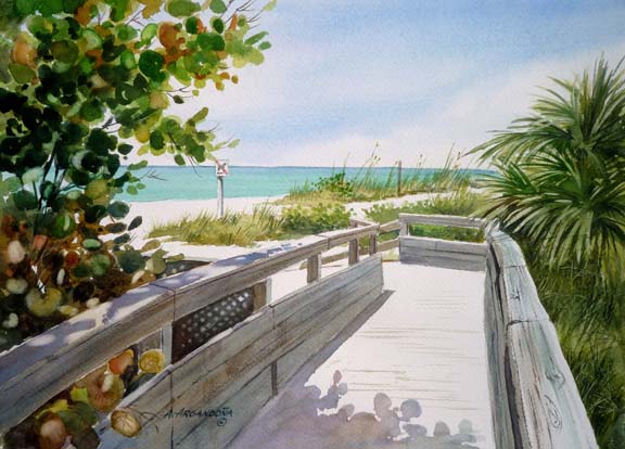 Florida Watercolors by Augusto Agrandona