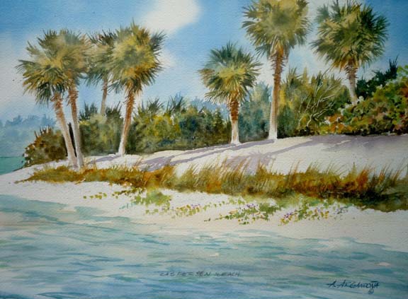 Florida Watercolors by Augusto Agrandona